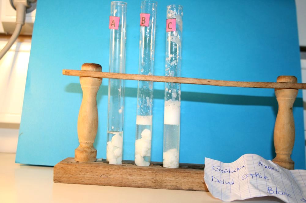 gal/LES_CINQUIEMES/ACTIVITE DIGESTION IN VITRO/Groupe_02/Groupe02_T_00h20min/Groupe02_temps00H20min_12.jpg